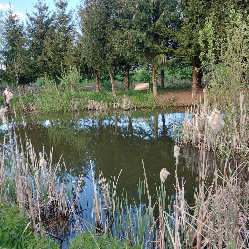 dom wolnostojący, 2 pokoje Markusy, Markusy. Zdjęcie 3