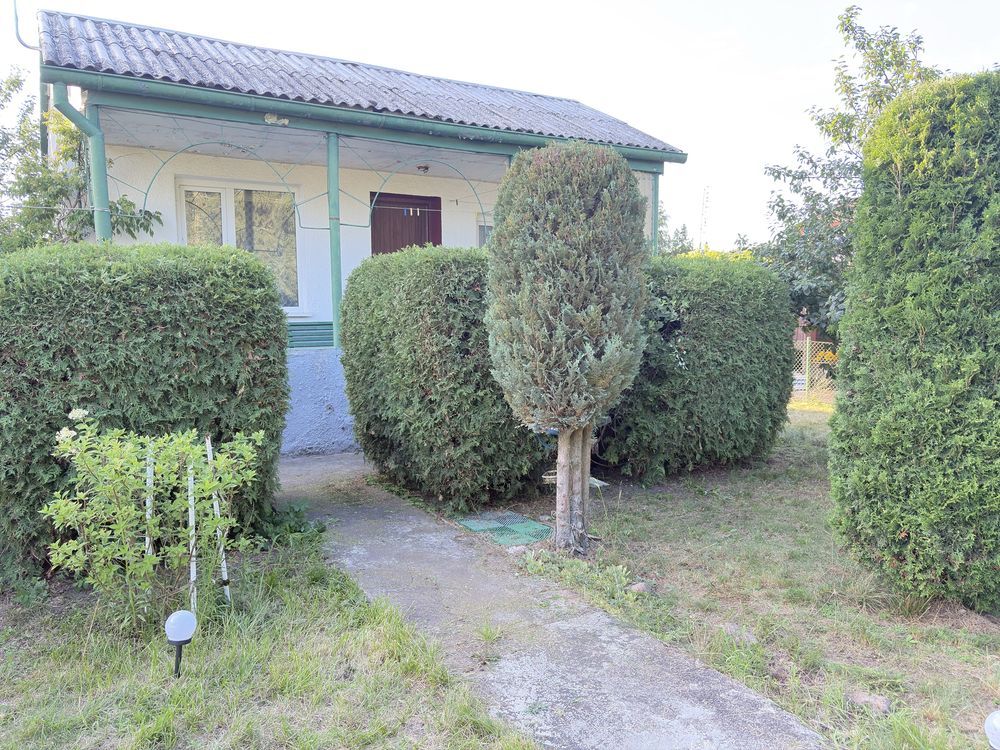 Działka rod Żurczyn. Zdjęcie 6