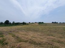 Działka rolna Głęboka. Zdjęcie 3