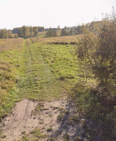 Działka rolno-budowlana Siemiany. Zdjęcie 1