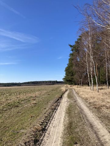 Działka budowlana Trzęsów, Nie podana. Zdjęcie 1