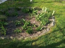 Działka rod Niekanin. Zdjęcie 2