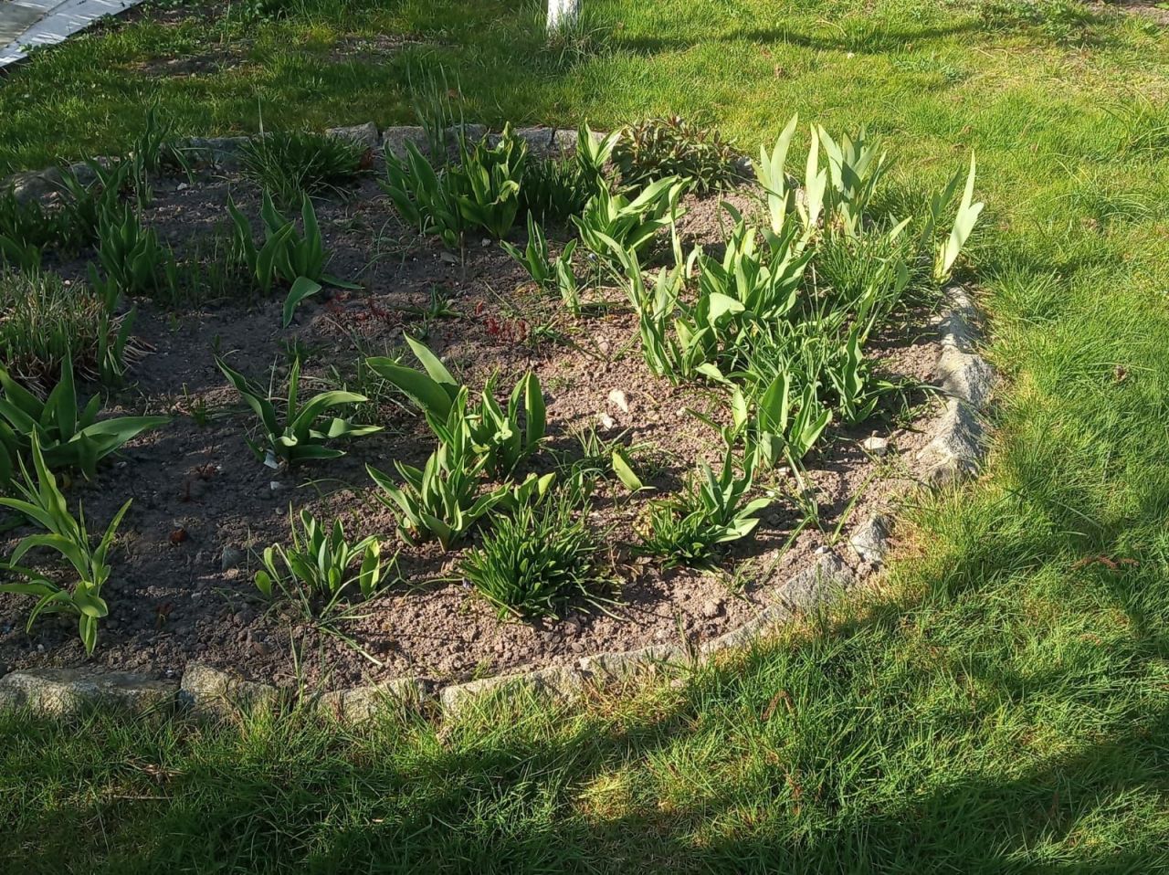 Działka rod Niekanin. Zdjęcie 3