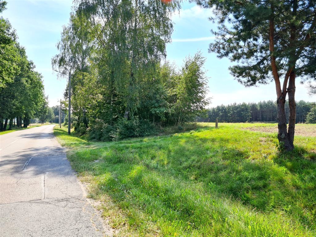 Działka budowlana Pielgrzymowice Trąbieniec, ul. Jastrzębska. Zdjęcie 14