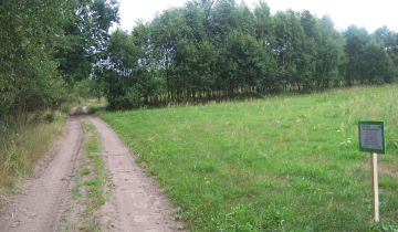 Działka rolno-budowlana Kamieniec