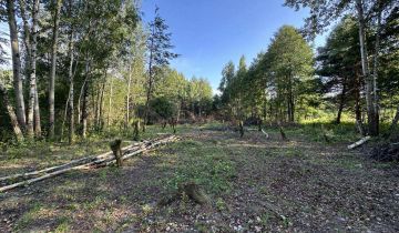 Działka rolno-budowlana Huta Dłutowska Kapkazy, ul. Kapkazy