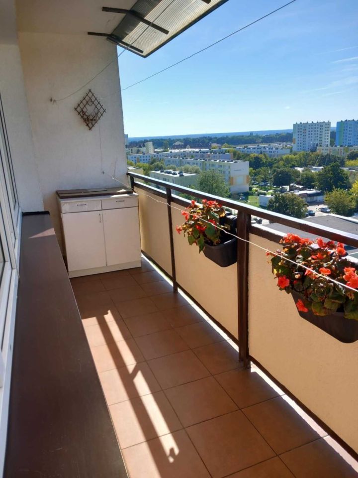 Mieszkanie 1-pokojowe Toruń, ul. Władysława Dziewulskiego. Zdjęcie 3