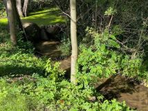 Działka budowlana Osjaków. Zdjęcie 1