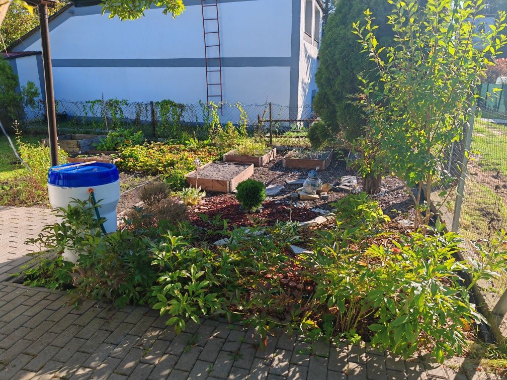 Działka rod Świnoujście. Zdjęcie 5