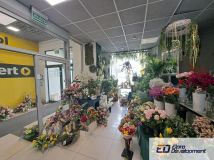 Lokal Opole Lubelskie, ul. Przemysłowa. Zdjęcie 4