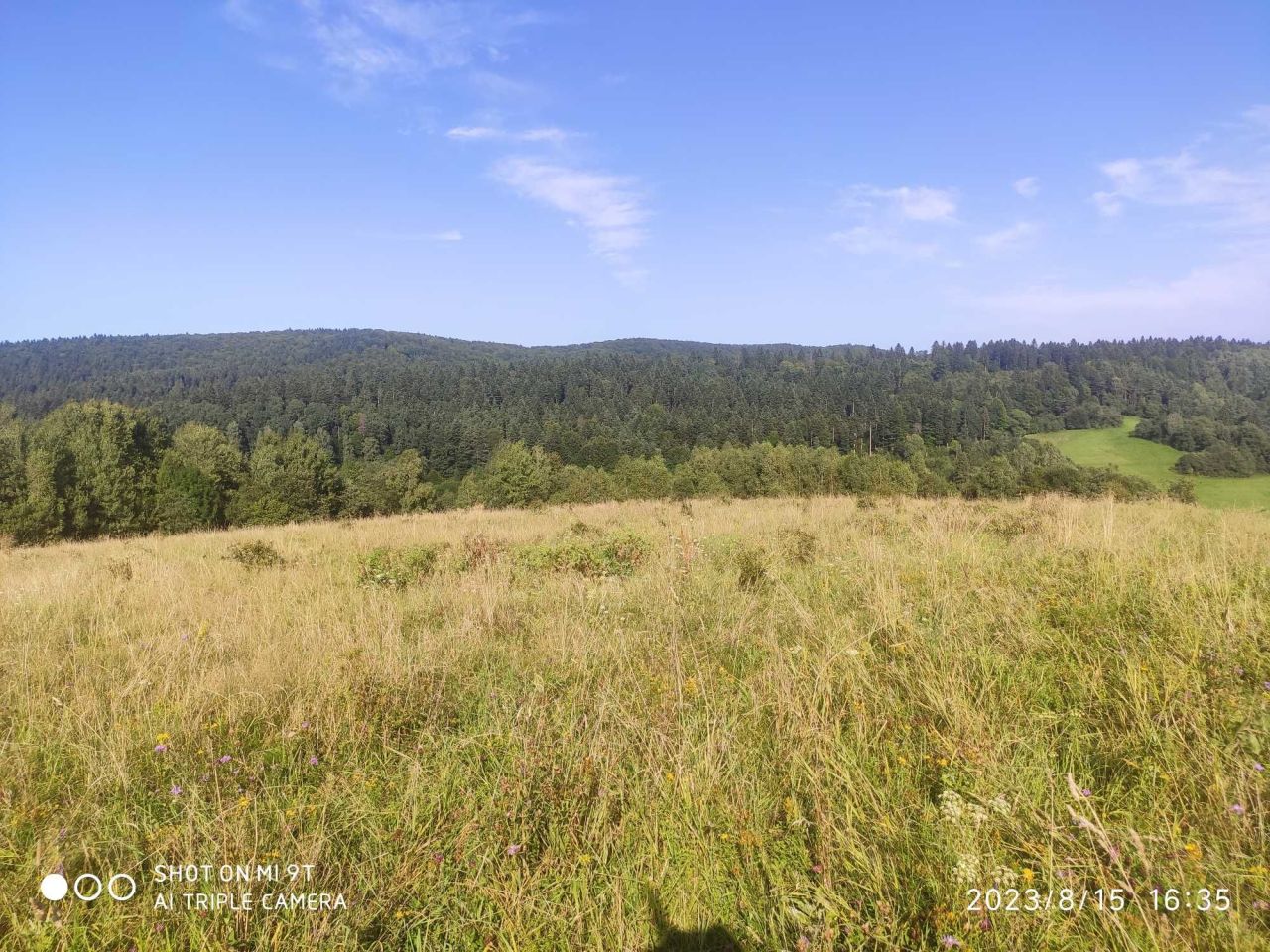 Działka inwestycyjna Łodyna. Zdjęcie 6