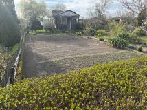 Działka rod Żary. Zdjęcie 4