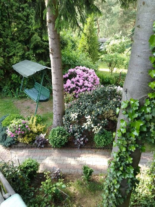 Działka rekreacyjna Łosie, ul. Czyżyka. Zdjęcie 30