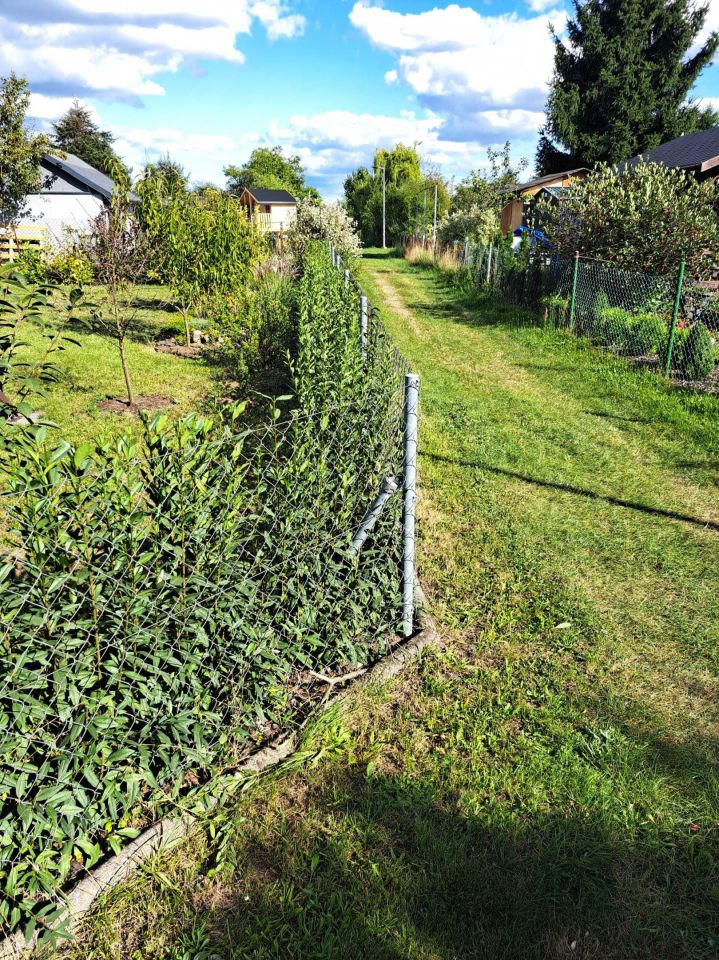 Działka rod Wrocław Krzyki. Zdjęcie 3