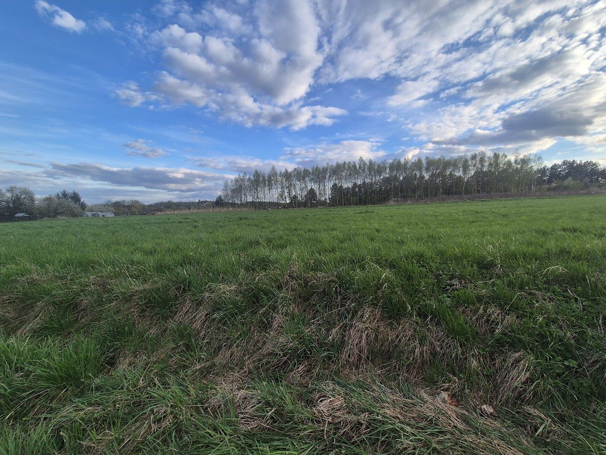 Działka budowlana Jaskrów, ul. Jurajska. Zdjęcie 11