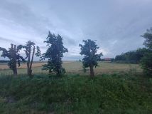 Działka rolno-budowlana Sierbowice. Zdjęcie 3