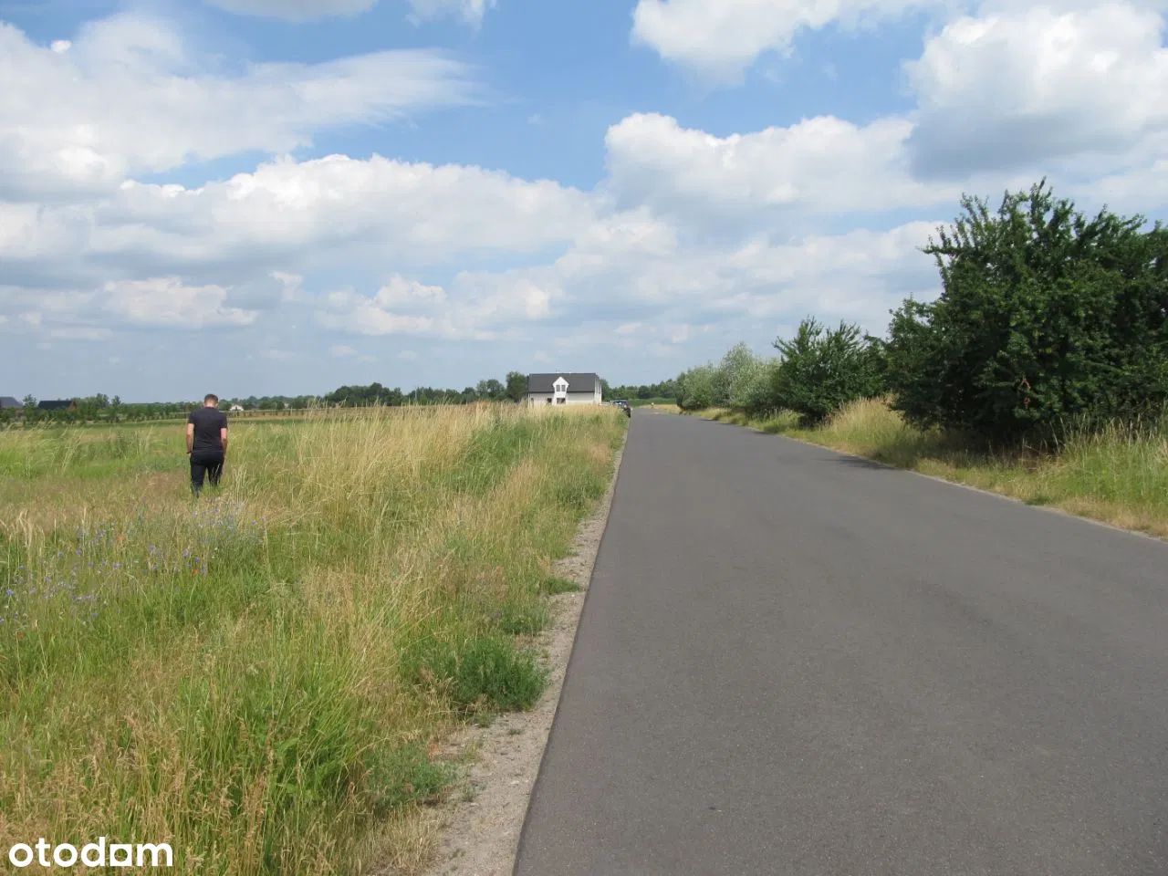 Działka siedliskowa Pawłowice, ul. Pawłowicka. Zdjęcie 10