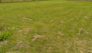 Działka budowlana Miłomłyn, ul. Wrzosowa