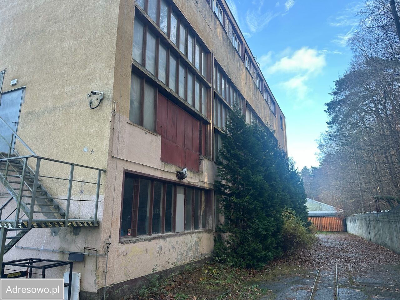 Lokal Sopot Brodwino, ul. Władysława Cieszyńskiego. Zdjęcie 10