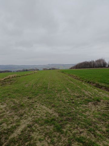 Działka budowlana Glinik Jamszcze. Zdjęcie 3