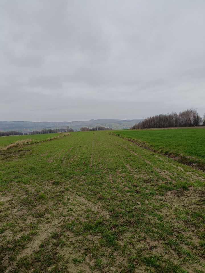 Działka budowlana Glinik Jamszcze. Zdjęcie 10