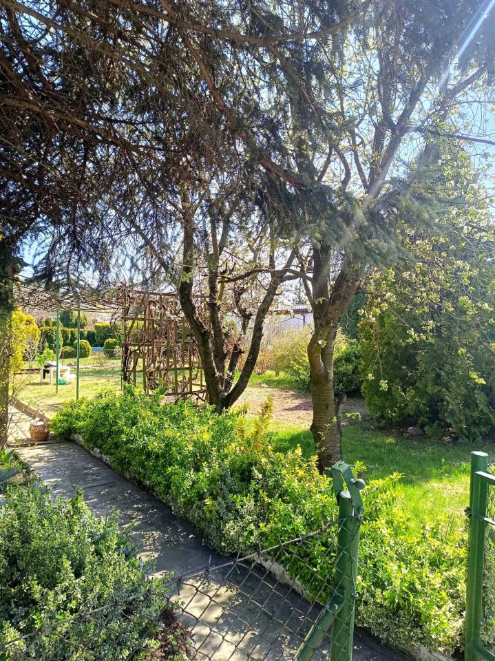 Działka rod Jaryszki. Zdjęcie 8