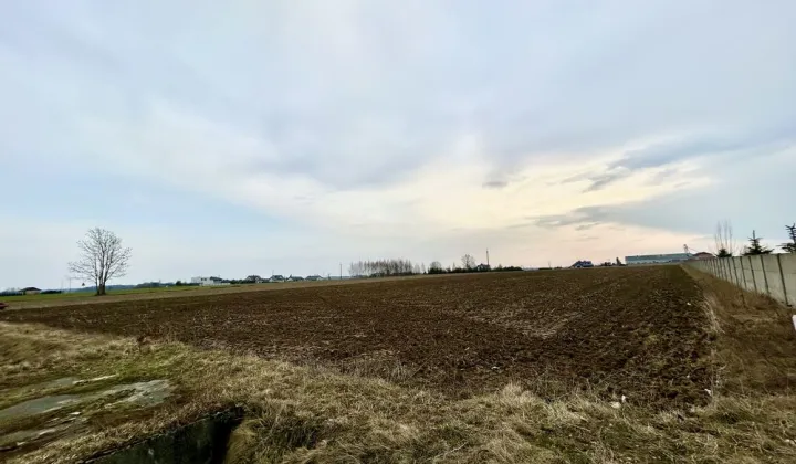 Działka budowlana Podolin Podolin-Kolonia