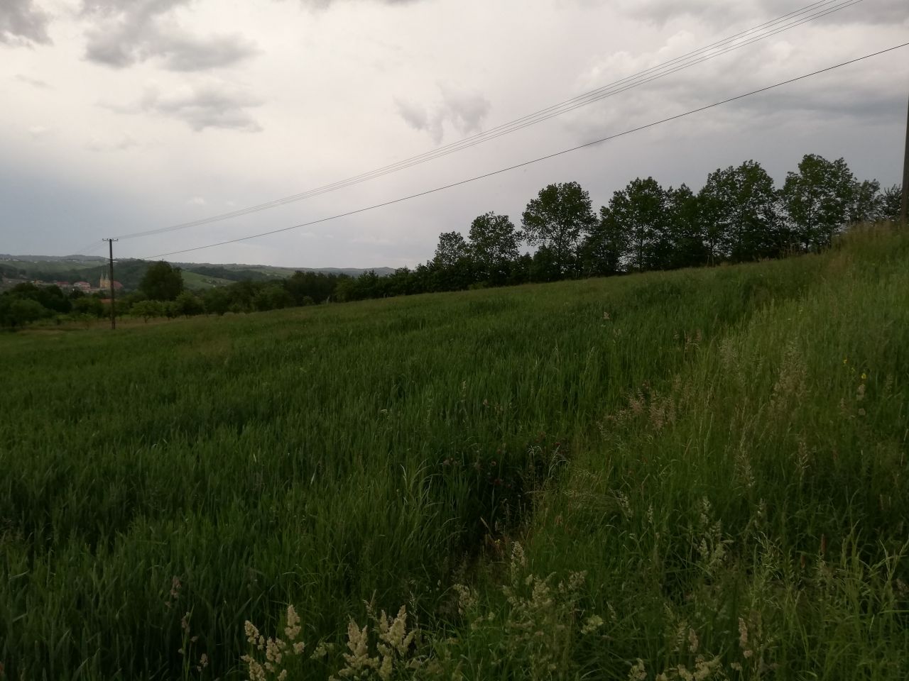 Działka budowlana Ujazd. Zdjęcie 3