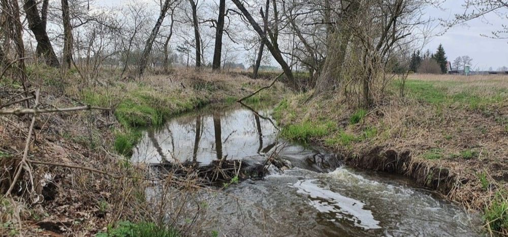 Działka budowlana Świeca. Zdjęcie 3