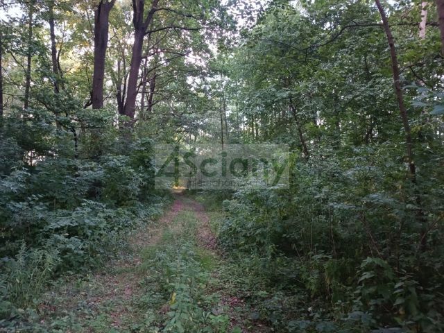 Działka budowlana Biernik. Zdjęcie 2