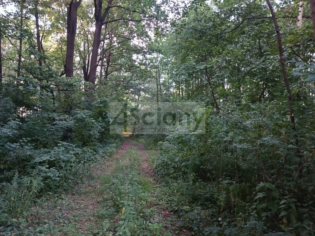 Działka budowlana Biernik. Zdjęcie 2