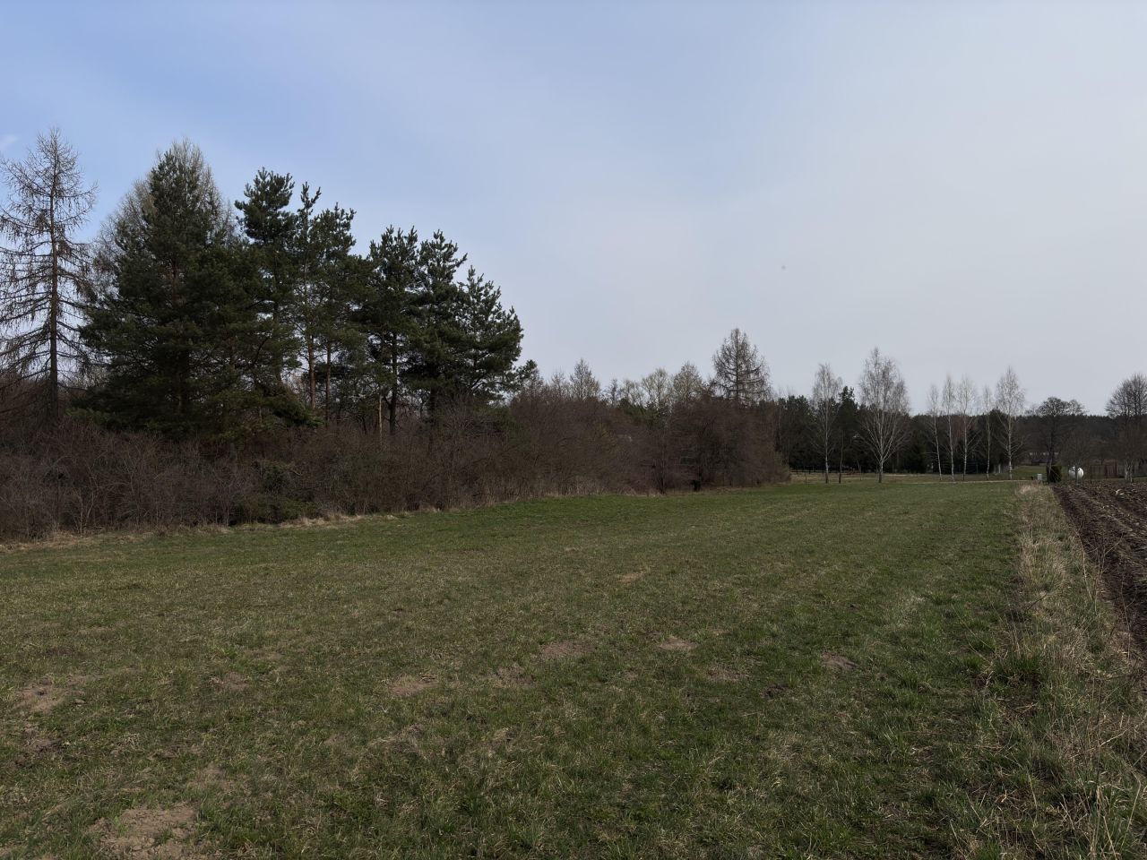 Działka rolno-budowlana Szumlin. Zdjęcie 4