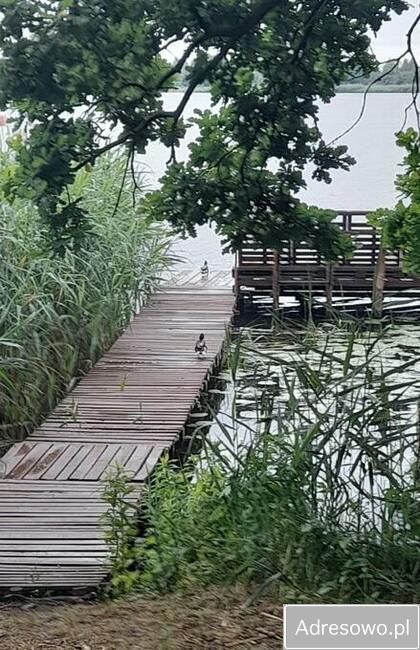 dom wolnostojący, 7 pokoi Skubianka, ul. Korzenna. Zdjęcie 8