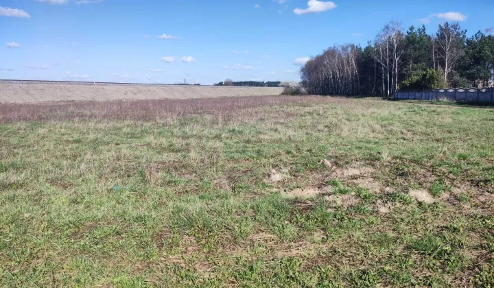 Działka budowlana Rostarzewo, ul. Topolowa