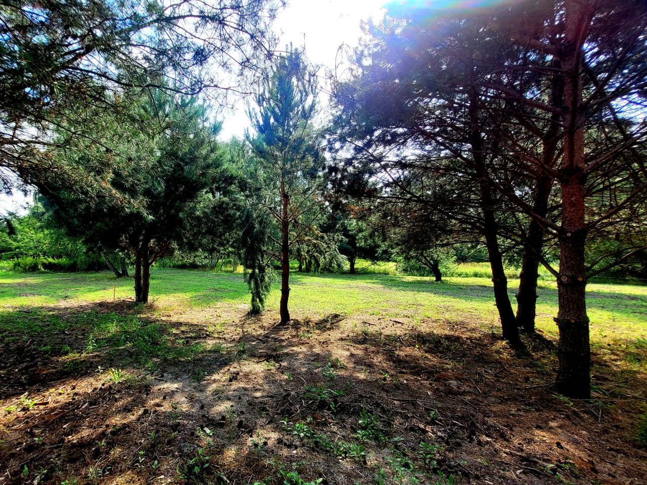 Działka budowlana Stradomia Wierzchnia, ul. Bukowa. Zdjęcie 4