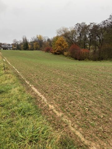 Działka rolna Stary Krasieniec. Zdjęcie 1