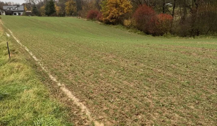 Działka rolna Stary Krasieniec