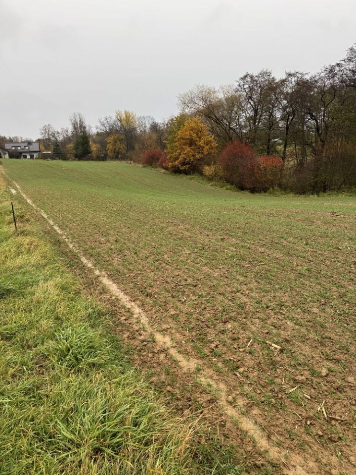 Działka rolna Stary Krasieniec