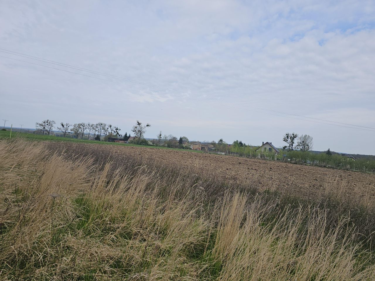 Działka rolna Osłowice. Zdjęcie 12