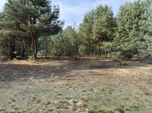 Działka budowlana Zambski Kościelne Wieraszka. Zdjęcie 2