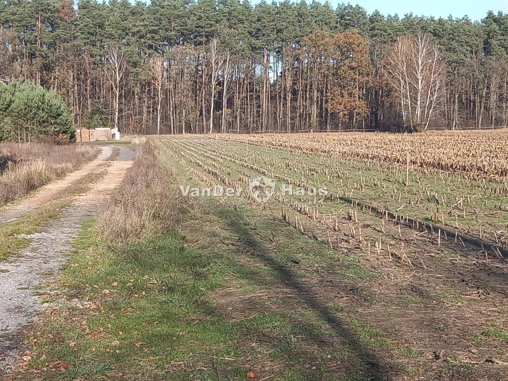 Działka budowlana Rakowo Lipki. Zdjęcie 4