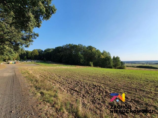 Działka budowlana Drągowina. Zdjęcie 11