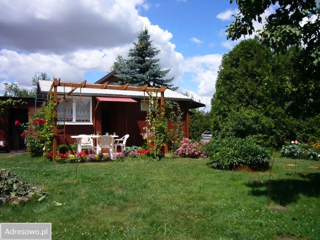 Działka rod Okołowice. Zdjęcie 1