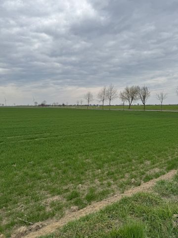 Działka budowlana Pawłowice. Zdjęcie 1