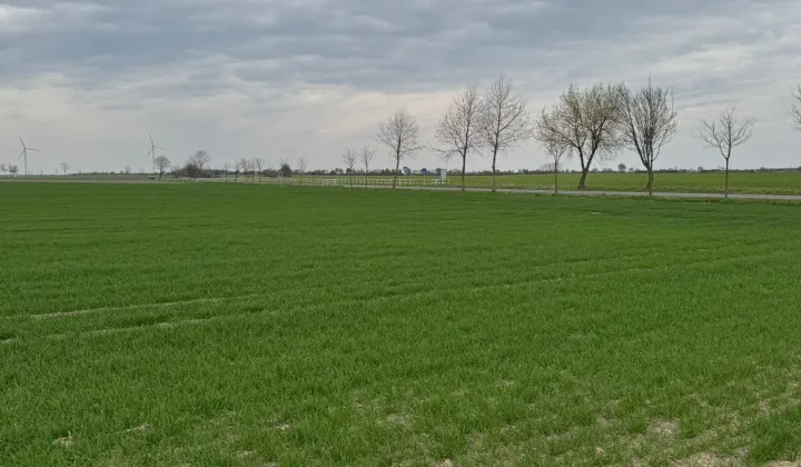 Działka budowlana Pawłowice