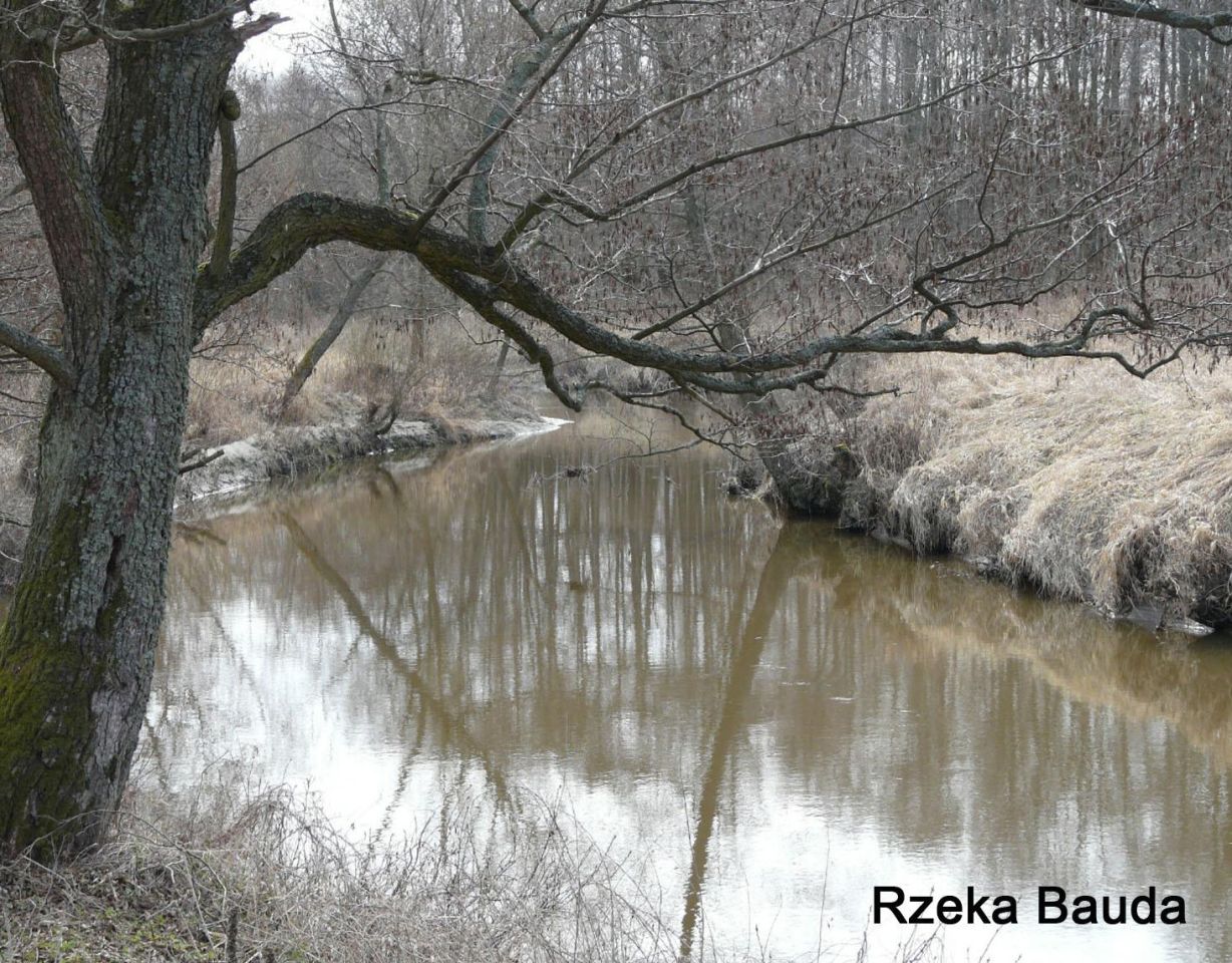 Działka rekreacyjna Różaniec. Zdjęcie 6