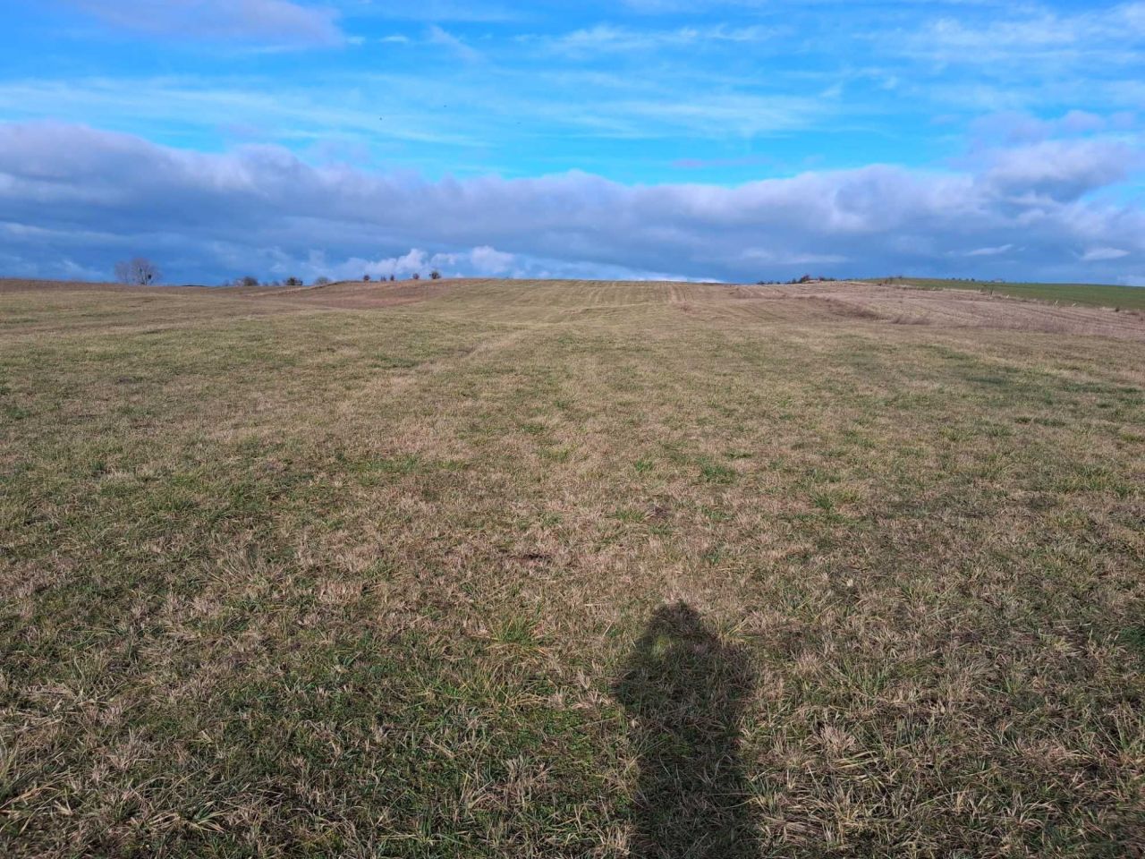 Działka rolna Paprotki. Zdjęcie 2