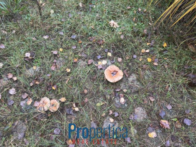 dom wolnostojący, 3 pokoje Natać Wielka. Zdjęcie 12