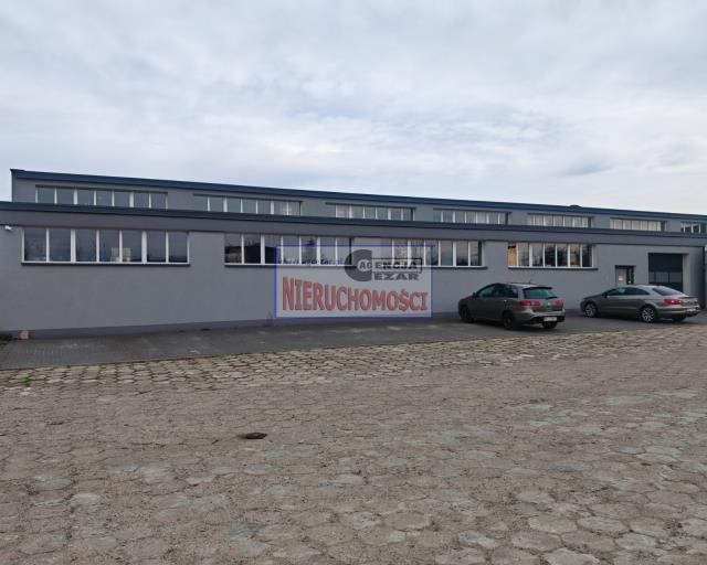 Lokal Mińsk Mazowiecki. Zdjęcie 6