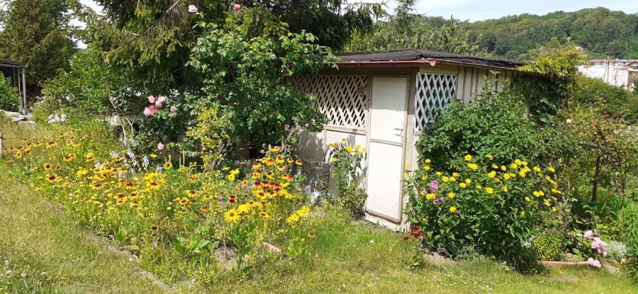 Działka rod Gdynia Mały Kack, ul. Sieradzka